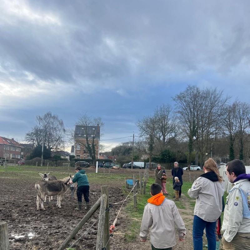 WhatsApp Image 2026-03-01 at 16.59.53 - Scouts en Gidsen Zaventem 